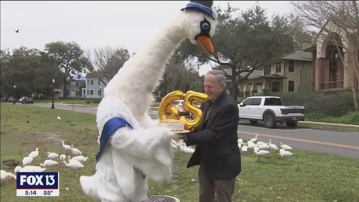 Queen's gift of swans celebrated in Lakeland